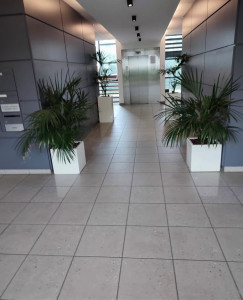 Photo de galerie - Ménage