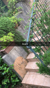 Photo de galerie - Avant traitement avec d'Alep 2100
