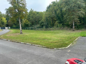 Photo de galerie - Tonte de pelouse