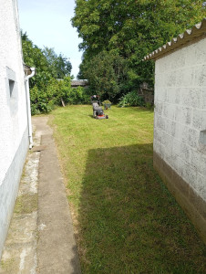 Photo de galerie - Entretien d'un jardin 