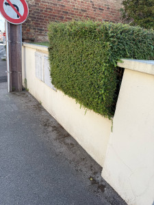 Photo de galerie - Peinture - Tapisserie