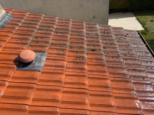 Photo de galerie - Nettoyage, traitement