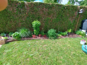 Photo de galerie - Aménagement jardinet à entretien limité 