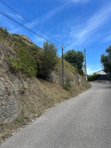 Photo de galerie - Débroussaillage bordure de route