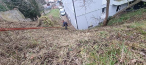 Photo de galerie - Tonte de pelouse - Débroussaillage