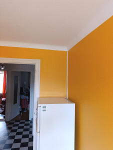 Photo de galerie - Rafraîchissement toile de verre 2 couches 