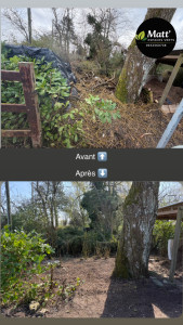 Photo de galerie - Remise au propre d’un coins vert 