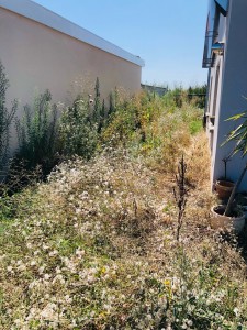 Photo de galerie - Tonte de pelouse - Débroussaillage