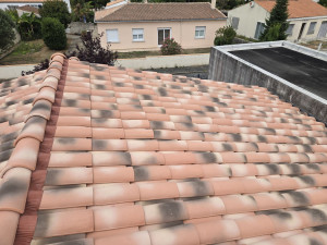 Photo de galerie - .