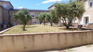 Photo de galerie - Debroussayage