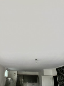 Photo de galerie - Peinture - Tapisserie