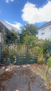 Photo de galerie - Avant nettoyage des herbes envahissantes 