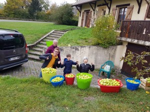 Photo de galerie - Ce jour là j ai gardé 3 enfants et j ai aidé a ramasser des pommes pour faire du jus maison.