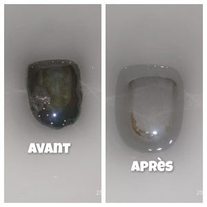 Photo de galerie - Détartrage de wc