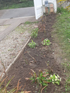 Photo de galerie - Rosiers suite 