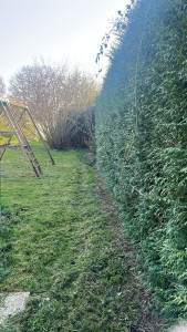 Photo de galerie - Avant 