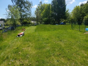 Photo de galerie - Tonte de pelouse - Débroussaillage