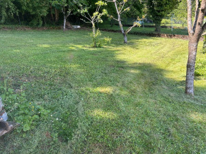 Photo de galerie - Tonte de pelouse dans un grand jardin