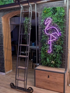 Photo de galerie - Bibliothèque dans une véranda.  (structure métallique, meuble sur mesure bois & metal, échelle bibliothèque)