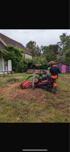 Photo de galerie - Paysagiste - Aménagement du jardin