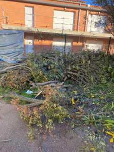 Photo de galerie - Jardinier