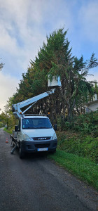 Photo de galerie - Abattage haie travail avec camions nacelle 