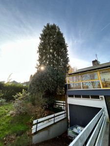 Photo de galerie - Elagage et coupe d'arbres