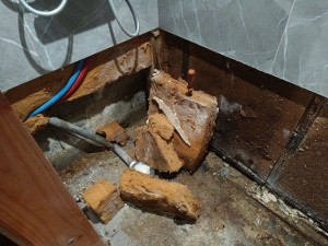 Photo de galerie - Remplacement bac a douche suite a un dégât des eaux 