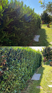 Photo de galerie - Avant / Après 