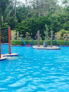 Photo de galerie - Livraison de courses