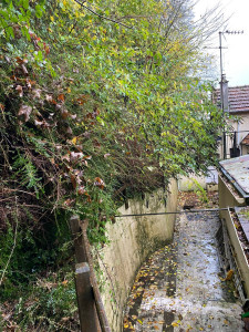 Photo de galerie - Dégagement chemin avant 