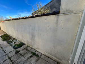 Photo de galerie - Peinture - Tapisserie