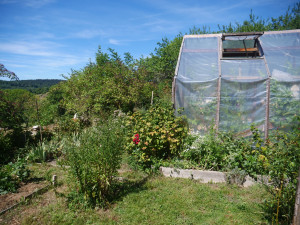 Photo de galerie - Jardinage et tonte de pelouse
