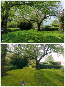 Photo de galerie - Avant/Après entretien du jardin