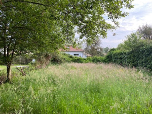 Photo de galerie - Débroussaillement 