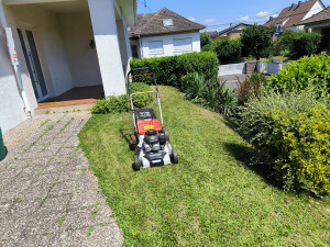 Photo de galerie - Tonte de pelouse - Débroussaillage