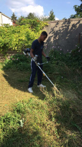 Photo de galerie - Débroussaillage