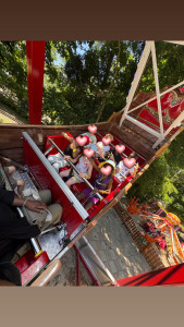 Photo de galerie - Sortie parc 