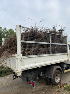 Photo de galerie - Chargement et évacuation d’un volume important de déchets verts et branchages.