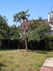 Photo de galerie - Paysagiste - Aménagement du jardin