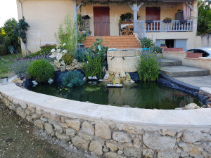 Photo de galerie - Bassin de jardin