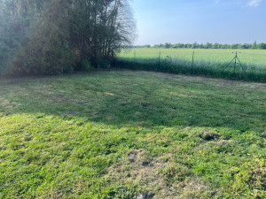 Photo de galerie - Après 