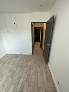 Photo de galerie - Couteau peintre