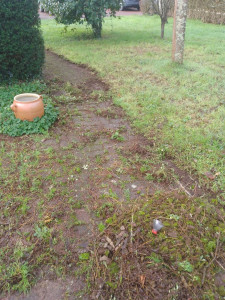 Photo de galerie - Tonte de pelouse - Débroussaillage