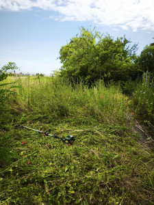 Photo de galerie - Gros nettoyage..