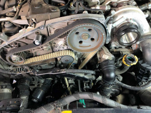 Photo de galerie - Changement distribution 