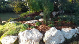 Photo de galerie - Remise en état d'un parc, création. 