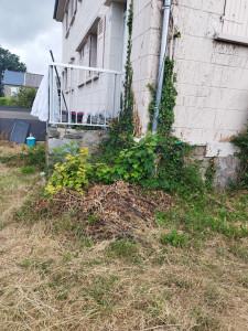 Photo de galerie - Entretiens 