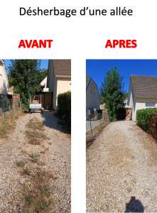 Photo de galerie - Tonte de pelouse - Débroussaillage