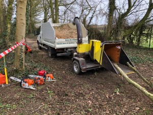 Photo de galerie - Élagage 